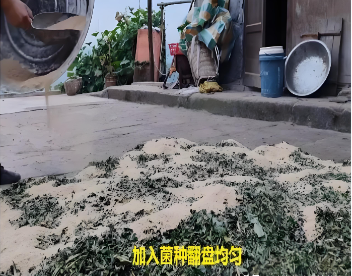 NP]YJHY]SG97MUN1E]B44(J.png