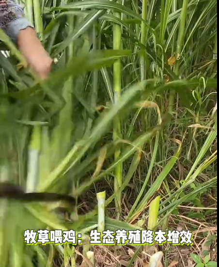 截圖20260627090004.png