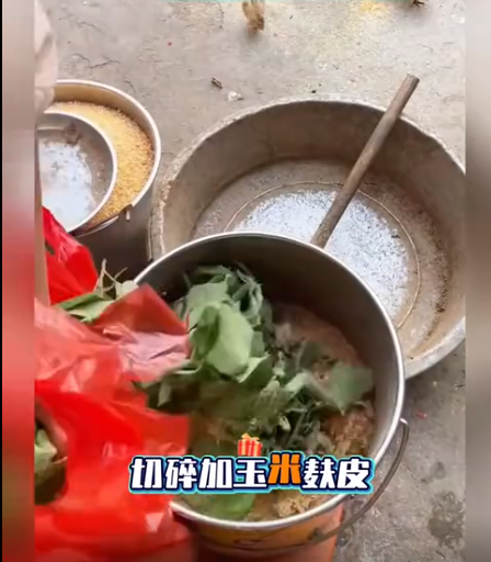 截圖20260701093000.png