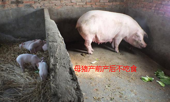 截圖20260701095000.png