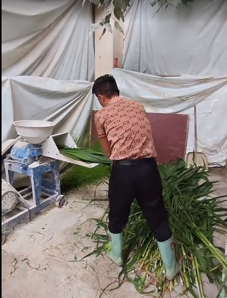截圖20260704092122.png