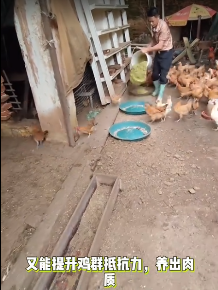 截圖20260704092326.png