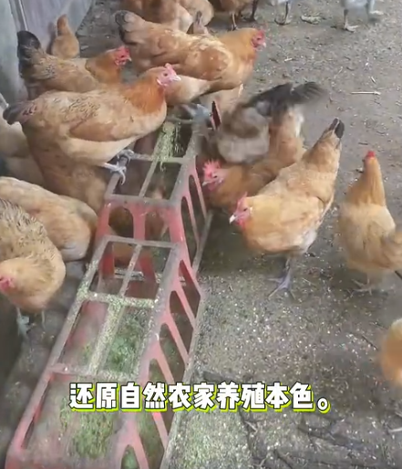 截圖20260704092412.png
