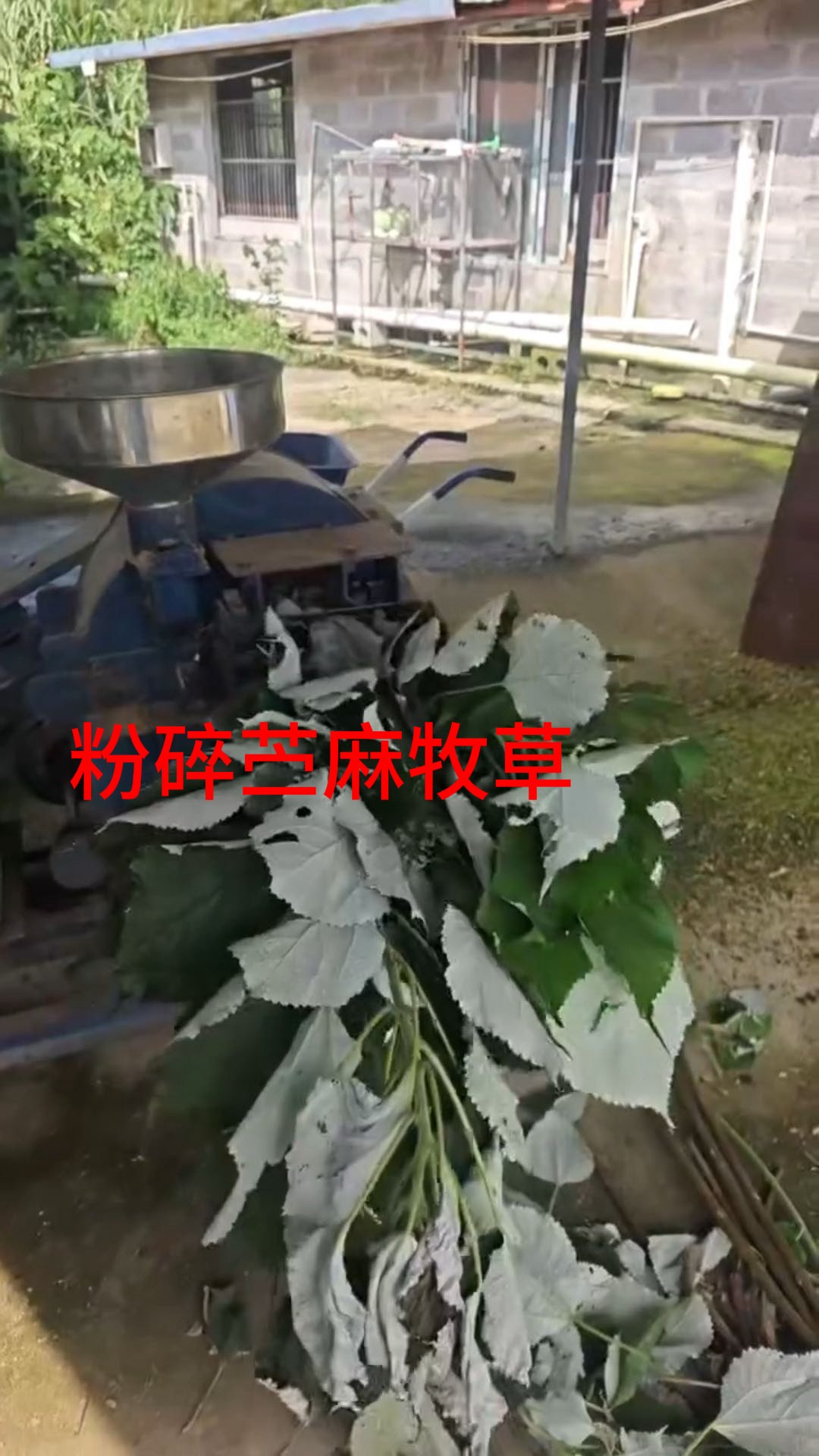 QQ圖片20260706152133.jpg