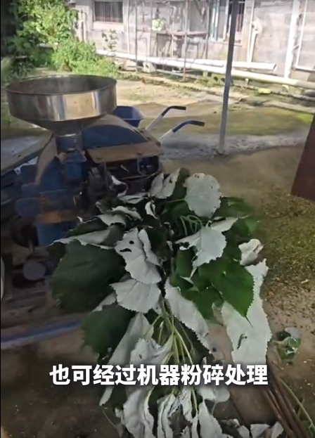 截圖20260707093739.png