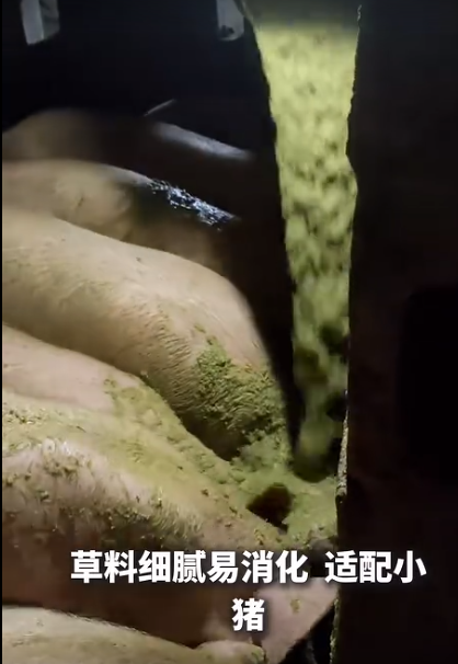 截圖20260707093749.png