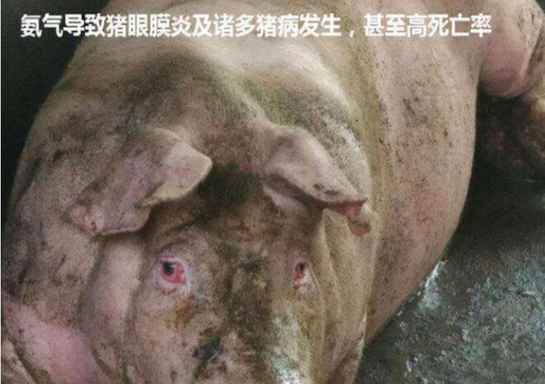 微信截圖_20260707103318.jpg