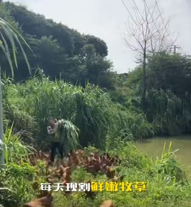 截圖20260708091704.png