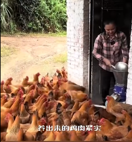 截圖20260708092705.png