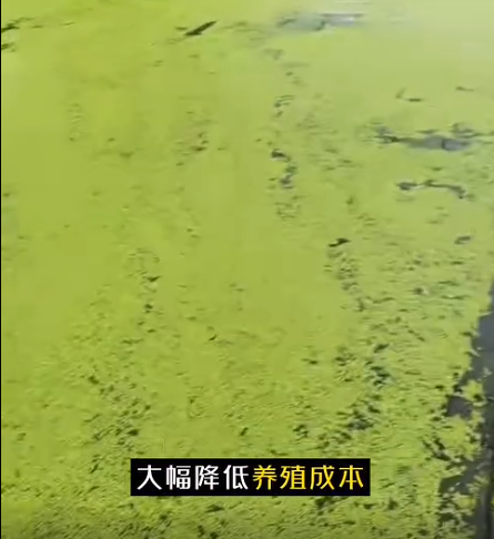 截圖20260709092201.png