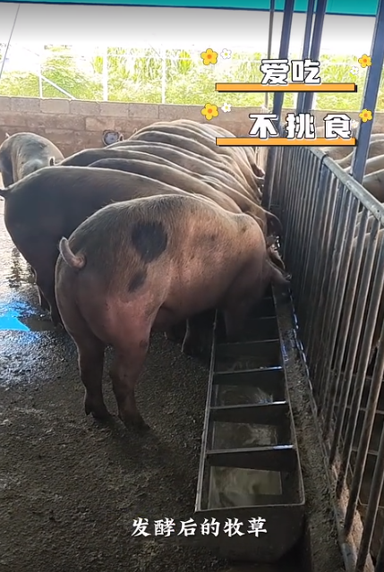 截圖20260710092544.png