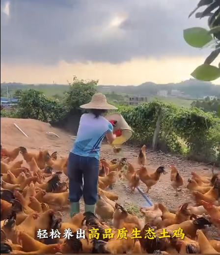 截圖20260711100918.png