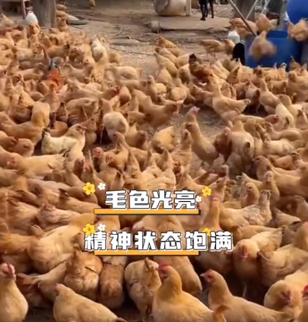 截圖20260716093846.png