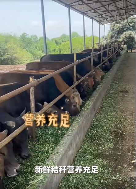 截圖20260717105925.png