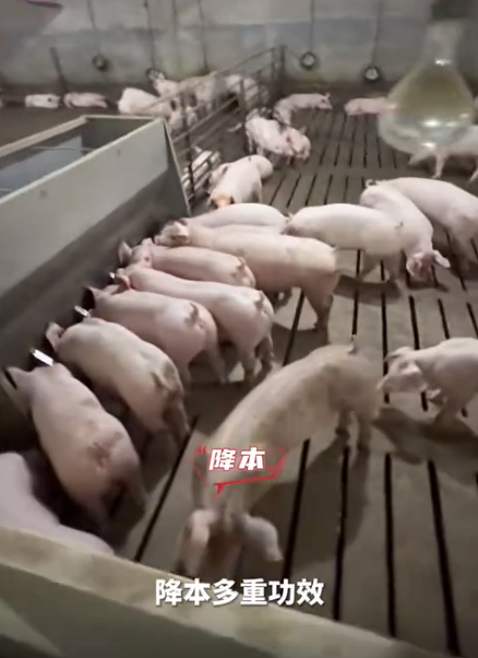 截圖20260722095220.png