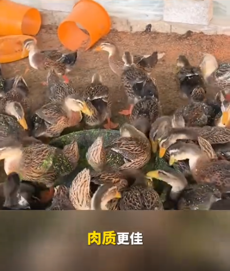 截圖20260723093926.png