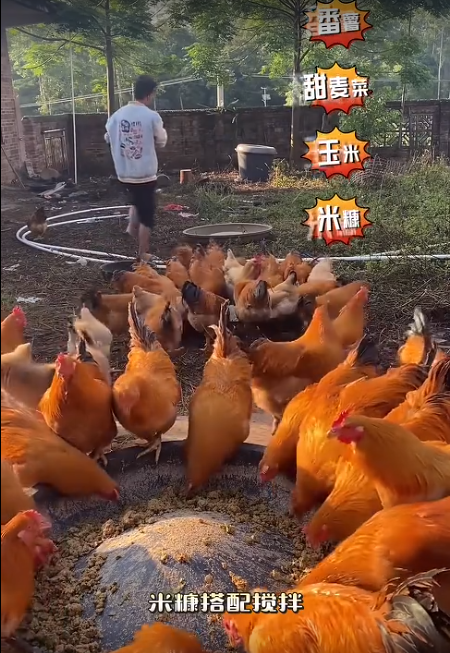 截圖20260724091919.png