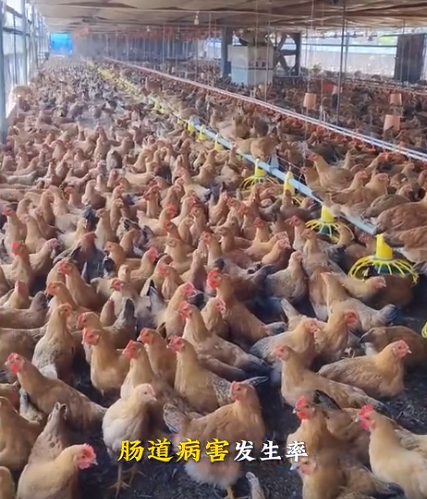 截圖20260725104237.png