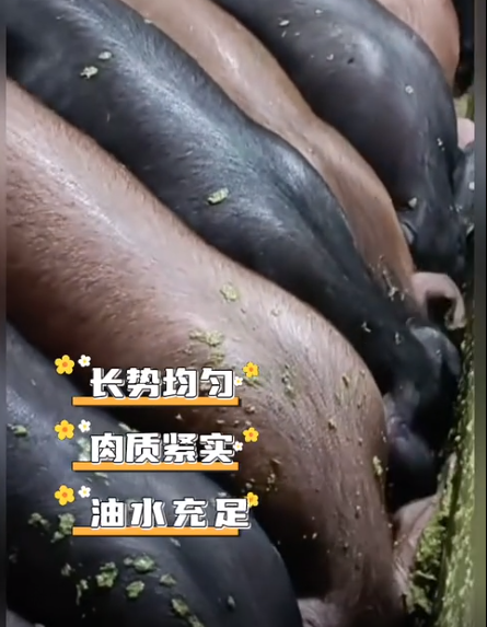 截圖20260730091054.png