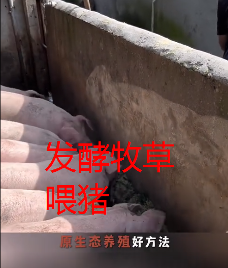 截圖20260730092254.png