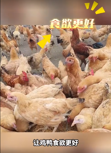 截圖20260801093512.png