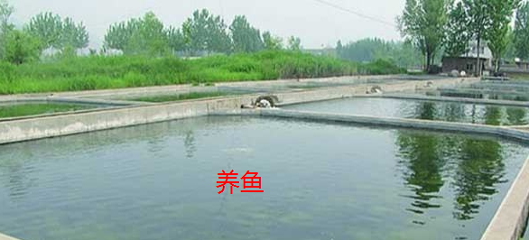 截圖20260804111556.png