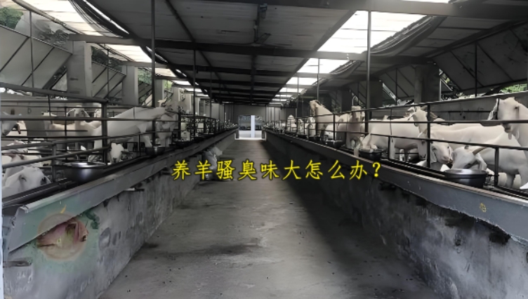 微信截圖_20260805095032.jpg