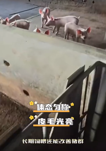 截圖20260805101850.png