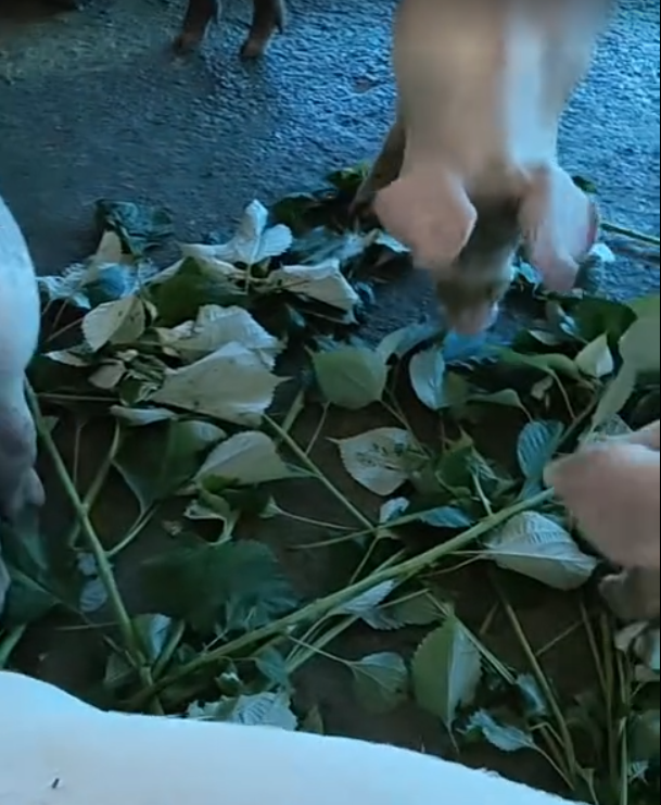 )__D~)PMNY$}FHA)(4N86)U.png